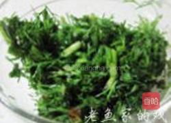 茴香根的做法大全及烹饪指南